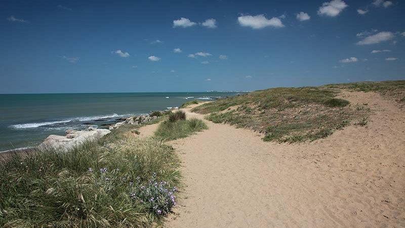 Camping 4 étoiles Vendee 2