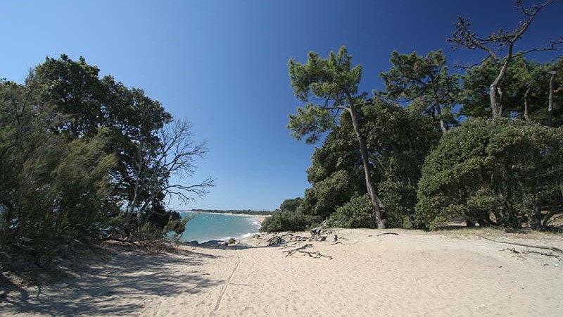 Camping avec piscine couverte Brétignolles sur mer