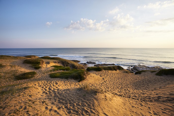 dunes-de-la-sauzaie