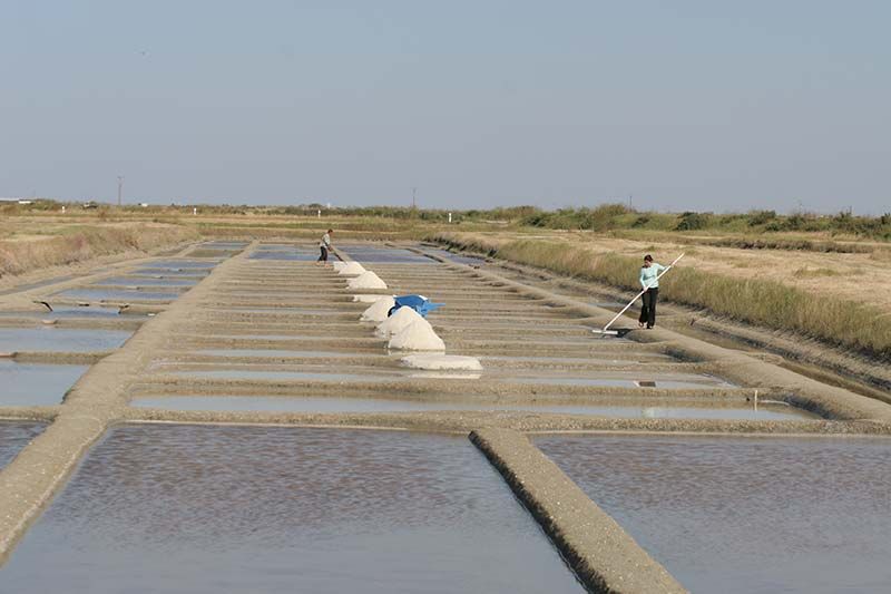 saline saunier noirmoutier