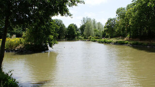 Etang de pêche