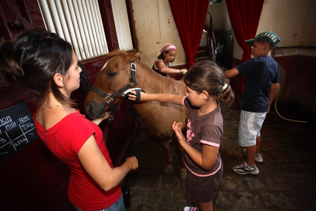 Haras 2